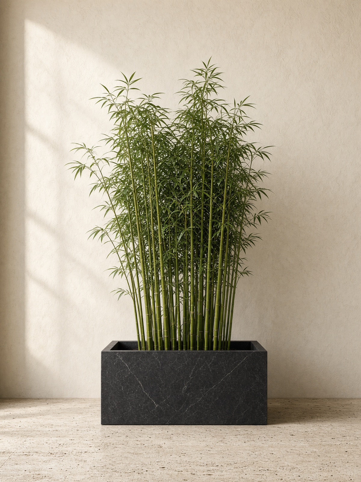 Bamboo Grove